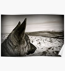 See The World Through Different Eyes Poster
