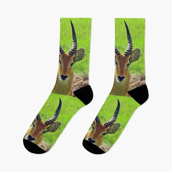Item preview, Maasai Mara - Tom's Antelope designed and sold by ellenhenry.