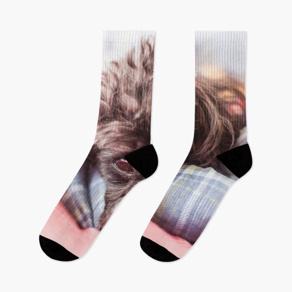 Item preview, I'm so comfy designed and sold by KensLensDesigns.
