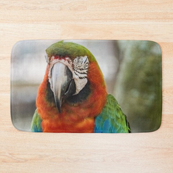 Item preview, Squinting Parrot designed and sold by KensLensDesigns.