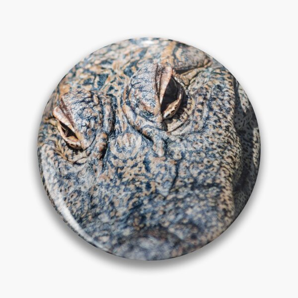 Item preview, FaceTime with the Alligator designed and sold by KensLensDesigns.
