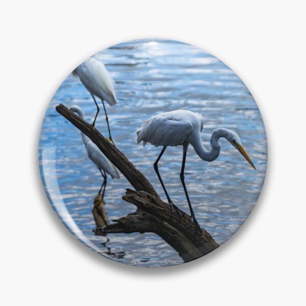 Item preview, Great white egret and a Snowy egret designed and sold by KensLensDesigns.