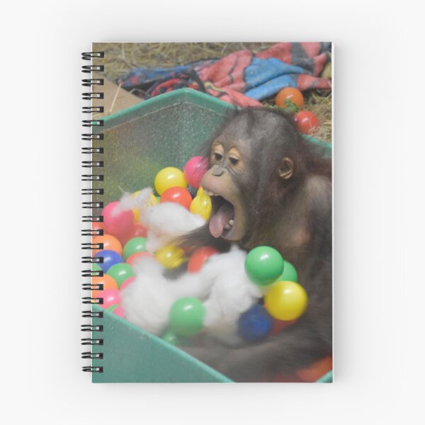 Item preview, Orangutan Redd at the National Zoo designed and sold by Zoo and Nature Photography by Karie.