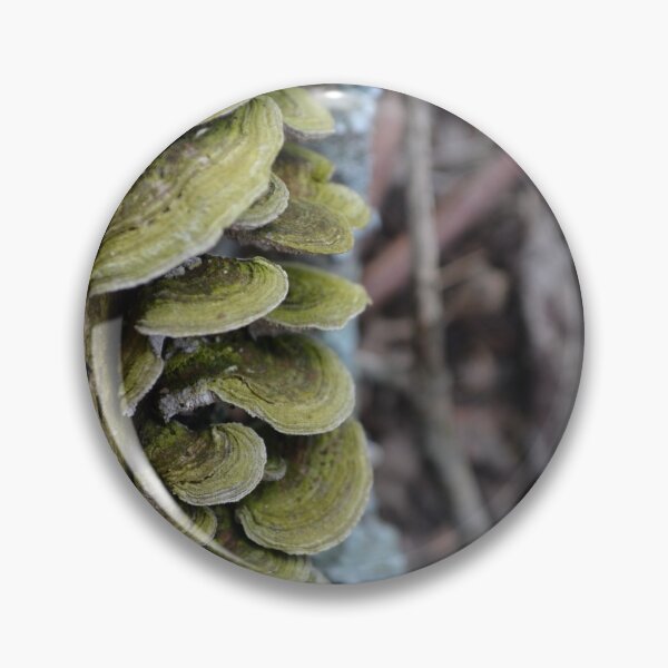 Item preview, mushrooms designed and sold by Adam Lo Cicero.