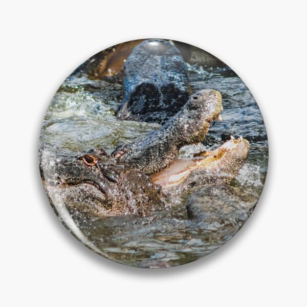Item preview, Alligator Party designed and sold by KensLensDesigns.