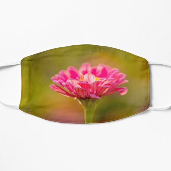 Simplicity Mask