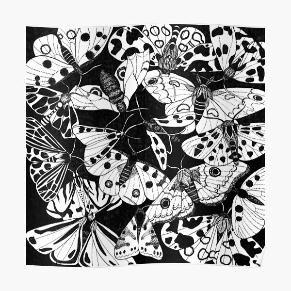 Butterflies Poster