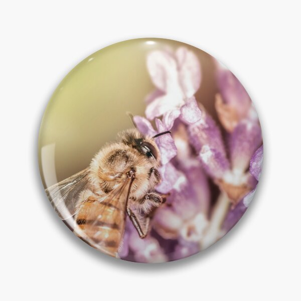 Artikelvorschau, Bieneninsekten auf Nahrungssuche bei der Bestäubung einer Lavendelblüte entworfen und verkauft von Grégory DUBUS.