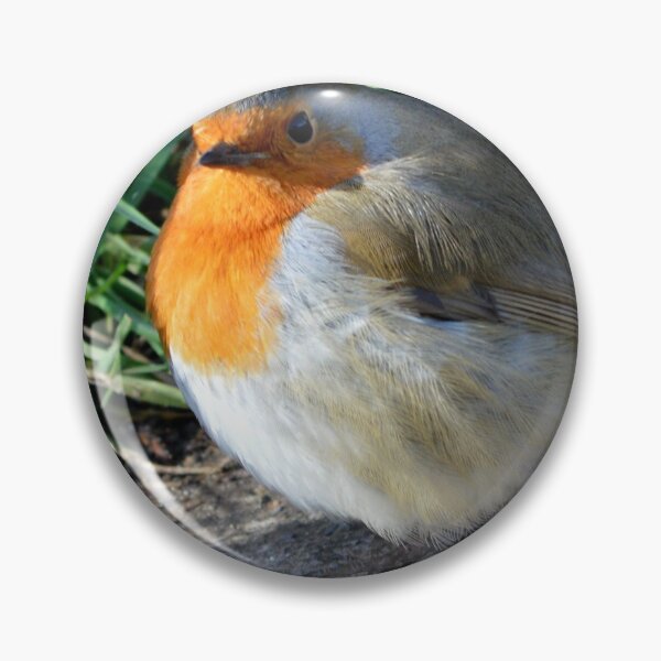Item preview, Robin designed and sold by Photography  by Mathilde.