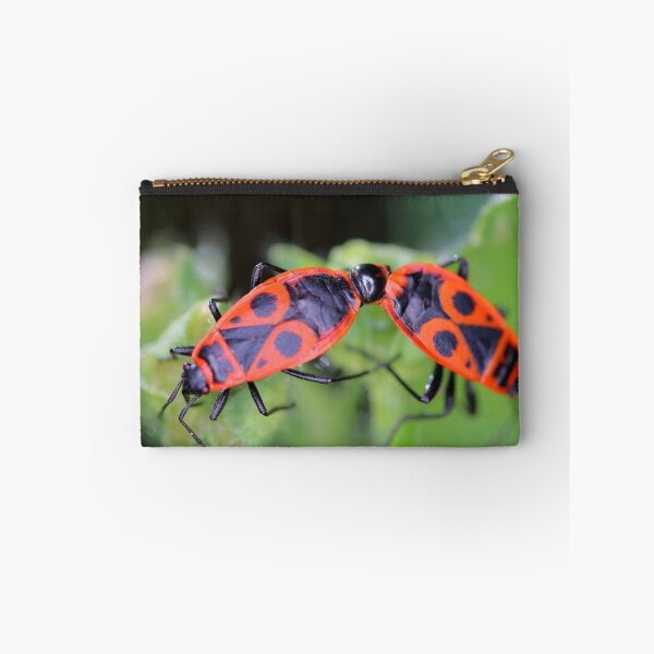 Item preview, Two fire bug insects macro mating in nature designed and sold by Grégory DUBUS.