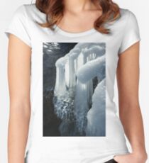 Elegant Christmas Ornaments From Mother Nature Women's Fitted Scoop T-Shirt