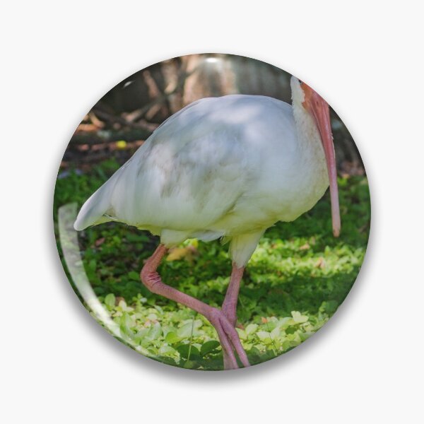 Item preview, Hopping White Ibis 2 designed and sold by KensLensDesigns.