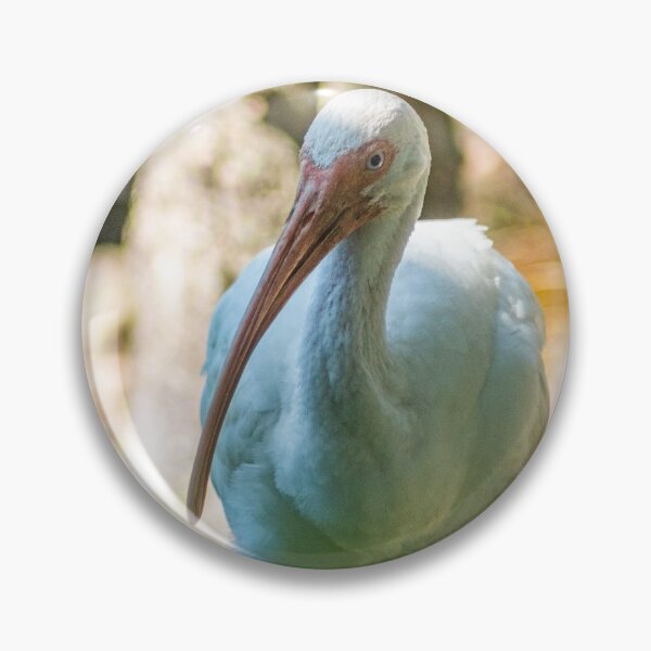 Item preview, American white ibis designed and sold by KensLensDesigns.