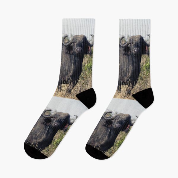 Item preview, Maasai Mara - Tom's Water Buffalo designed and sold by ellenhenry.