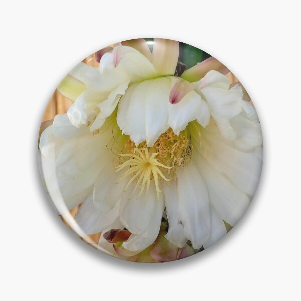 Item preview, Cactus Flower designed and sold by PricklyOctopus.