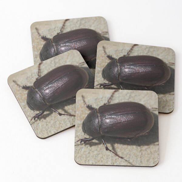 Artikelvorschau, Beetle entworfen und verkauft von Norma Jean’s Art.