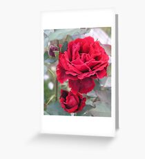 Storm Survivor Greeting Card