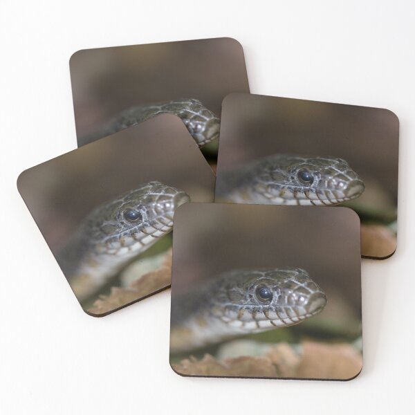 Item preview, A Snake Eye's View designed and sold by Michel (Mike) Soucy.