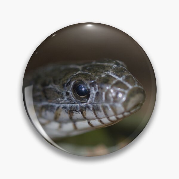 Item preview, A Snake Eye's View designed and sold by Michel (Mike) Soucy.