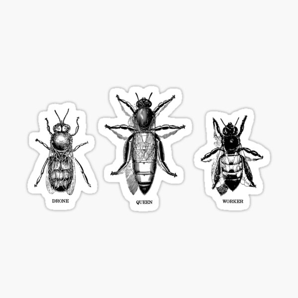 Honeybees Sticker