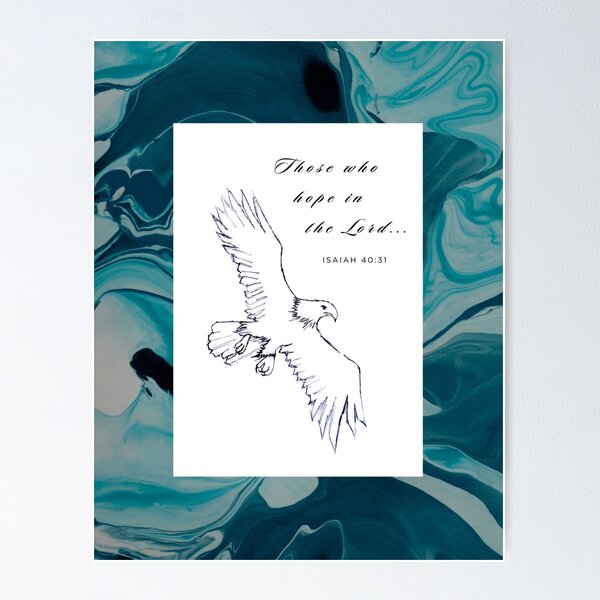 Bald Eagle in Flight Poster