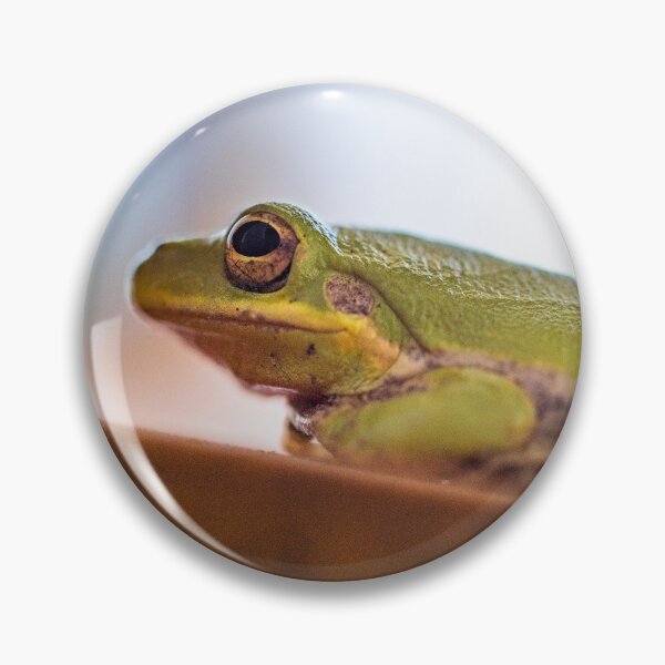 Item preview, Hyla squirella designed and sold by KensLensDesigns.