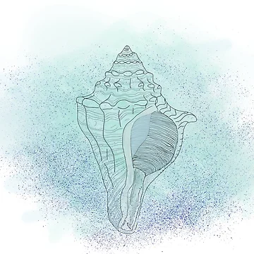 Artwork thumbnail, Conch Shell by threadgillart
