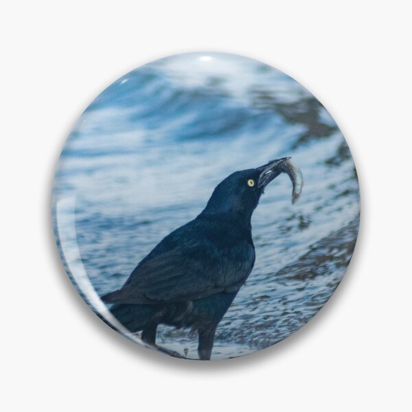 Item preview, Grackle with a Fish designed and sold by KensLensDesigns.