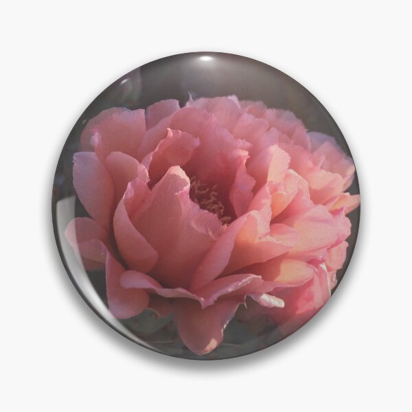 Item preview, Pastel Pink Cactus Flower designed and sold by PricklyOctopus.