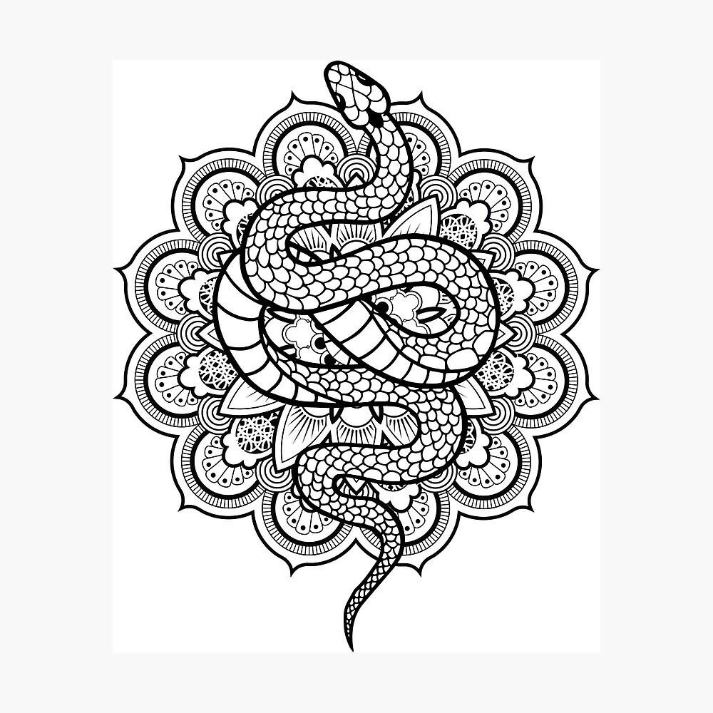 Snakes mandala. Poster by emphatic | Redbubble