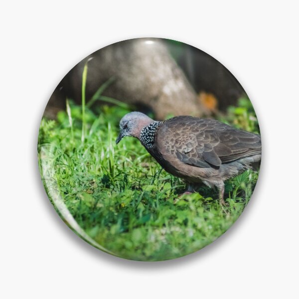 Item preview, Spotted dove designed and sold by KensLensDesigns.