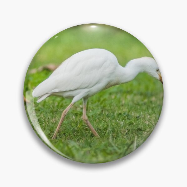 Item preview,  Cattle Egret 2 designed and sold by KensLensDesigns.