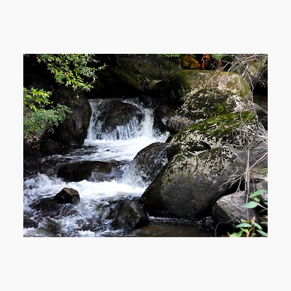 Item preview, Taggerty Cascades designed and sold by Matthew Walmsley-Sims.
