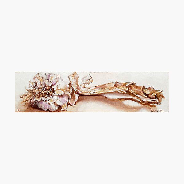 Garlic 4 Photographic Print