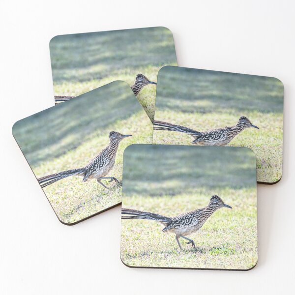 Item preview, Greater Roadrunner Ready to Pounce designed and sold by Debra Martz.