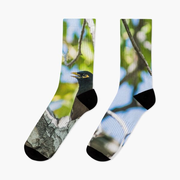 Item preview, Common myna designed and sold by KensLensDesigns.
