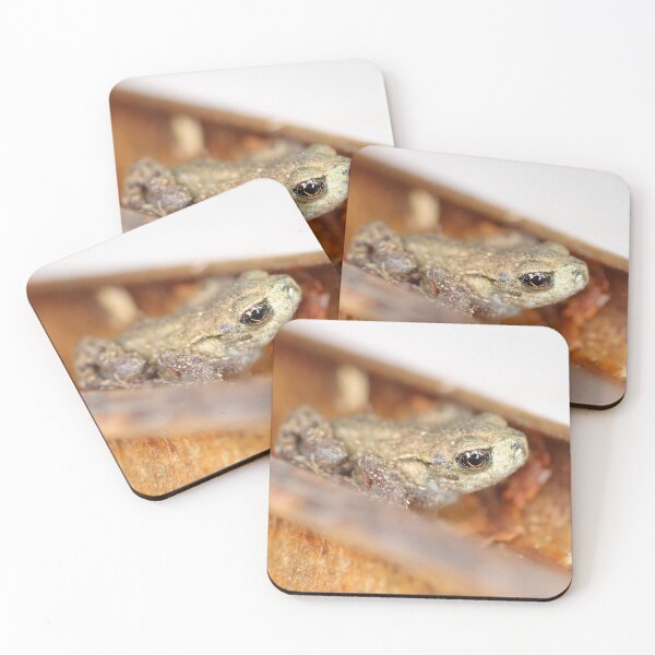 Item preview, Camouflaged small frog designed and sold by Grégory DUBUS.