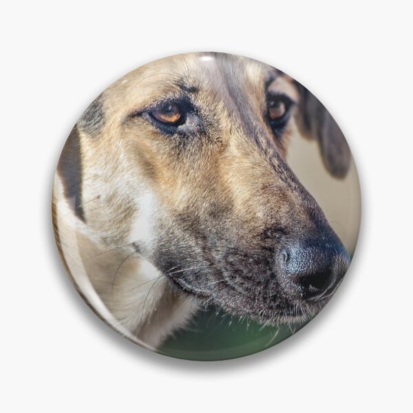 Item preview, Greyhound's head dog looking away designed and sold by Grégory DUBUS.