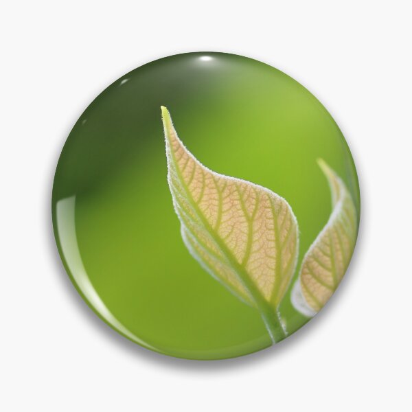 Item preview, Catalpa young leaf designed and sold by Grégory DUBUS.