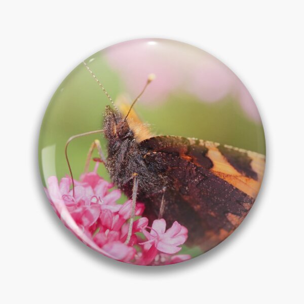 Item preview, Butterfly on valerian flower designed and sold by Grégory DUBUS.