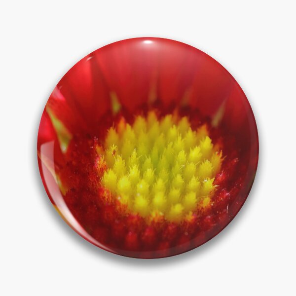Item preview, Gaillardia flower macro designed and sold by Grégory DUBUS.