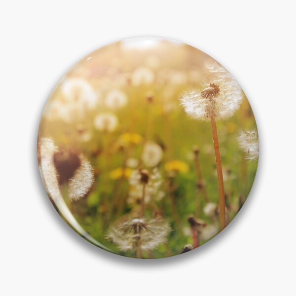 Item preview, Dandelion during sunset designed and sold by Grégory DUBUS.