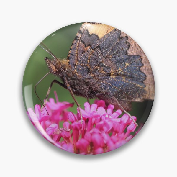 Item preview, Butterfly on valerian flower designed and sold by Grégory DUBUS.