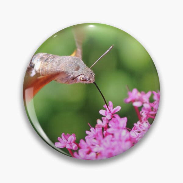 Item preview, Hummingbird Hawk moth on Valerian flower designed and sold by Grégory DUBUS.