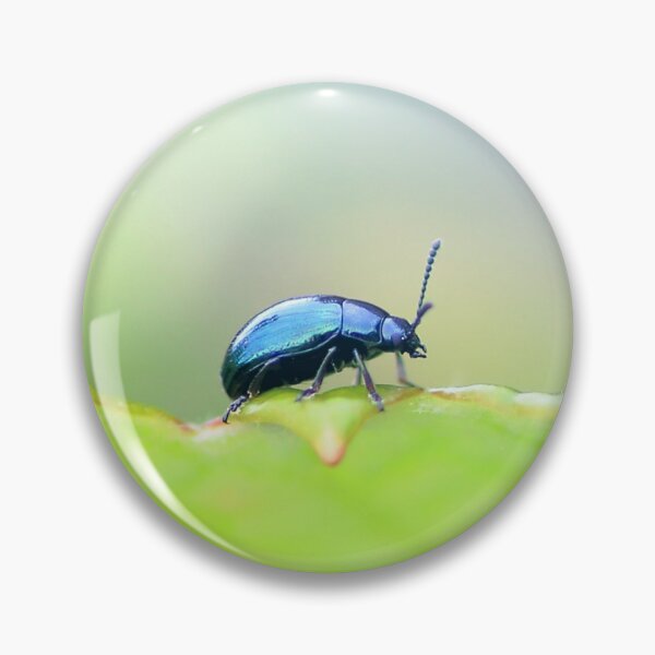 Item preview, Blue beetle on leaf designed and sold by Grégory DUBUS.