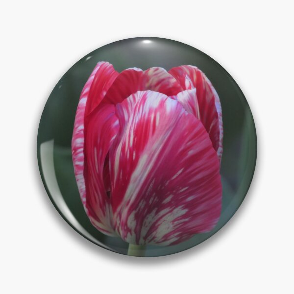 Item preview, Lonely tulip designed and sold by equilibrum08.