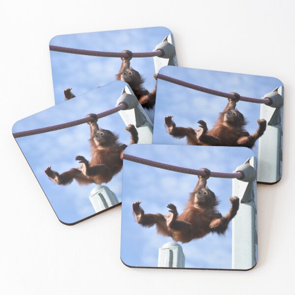 Item preview, Orangutan Redd on the O-Line at the National Zoo designed and sold by Zoo and Nature Photography by Karie.