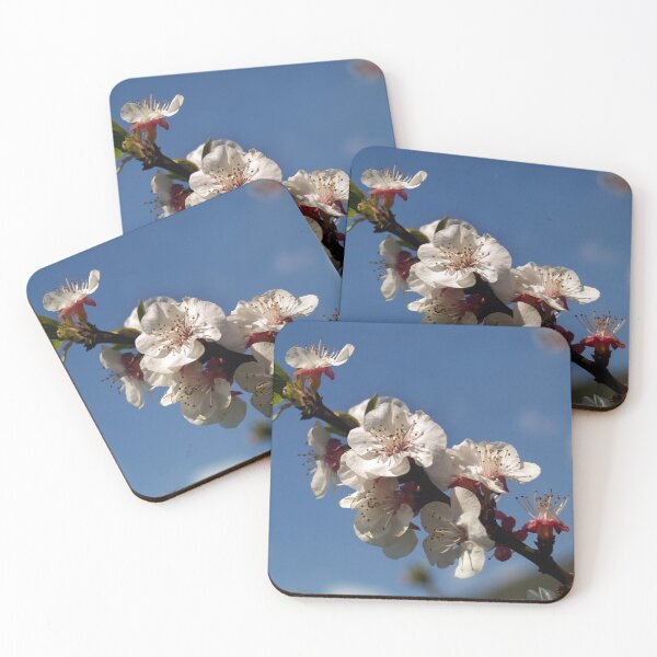 Item preview, almond flowers designed and sold by Art By M.