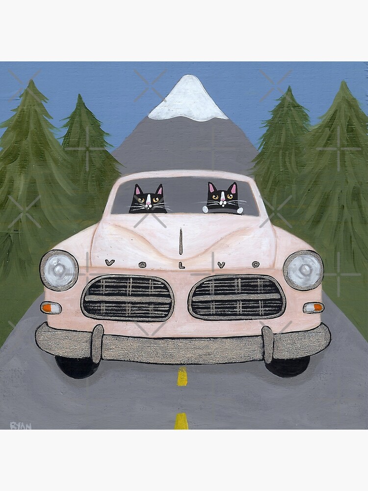 Volvo Amazon by kilkennycat