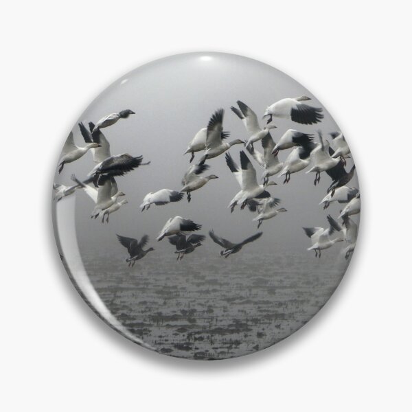 Item preview, Delevan Snow Geese designed and sold by Photos by Michael J. Mesmer.